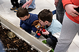 DSCF7528.jpg