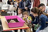 DSCF7529.jpg