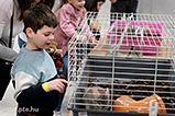 DSCF7536.jpg
