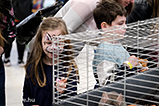 DSCF7538.jpg