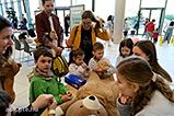 DSCF7558.jpg