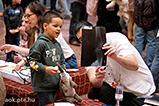 DSCF7608.jpg
