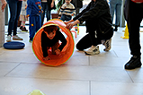 DSCF7661.jpg