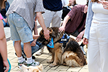 DSCF3023.jpg