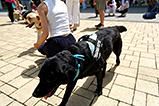 DSCF3035.jpg