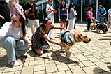 DSCF3036.jpg