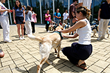 DSCF3037.jpg