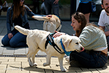 DSCF3038.jpg