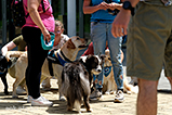 DSCF3039.jpg