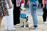 DSCF3042.jpg