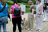 DSCF3047.jpg