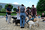 DSCF3051.jpg