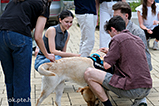 DSCF3058.jpg