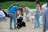 DSCF3059.jpg