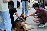 DSCF3065.jpg