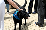DSCF3067.jpg