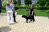 DSCF3071.jpg