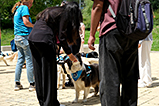 DSCF3072.jpg