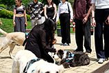 DSCF3076.jpg