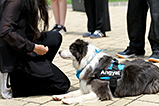 DSCF3077.jpg