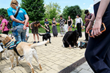 DSCF3078.jpg
