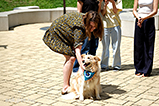 DSCF3084.jpg
