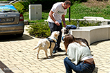 DSCF3086.jpg