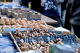 DSCF0120.jpg