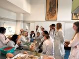 4th "Brain Matters" workshop